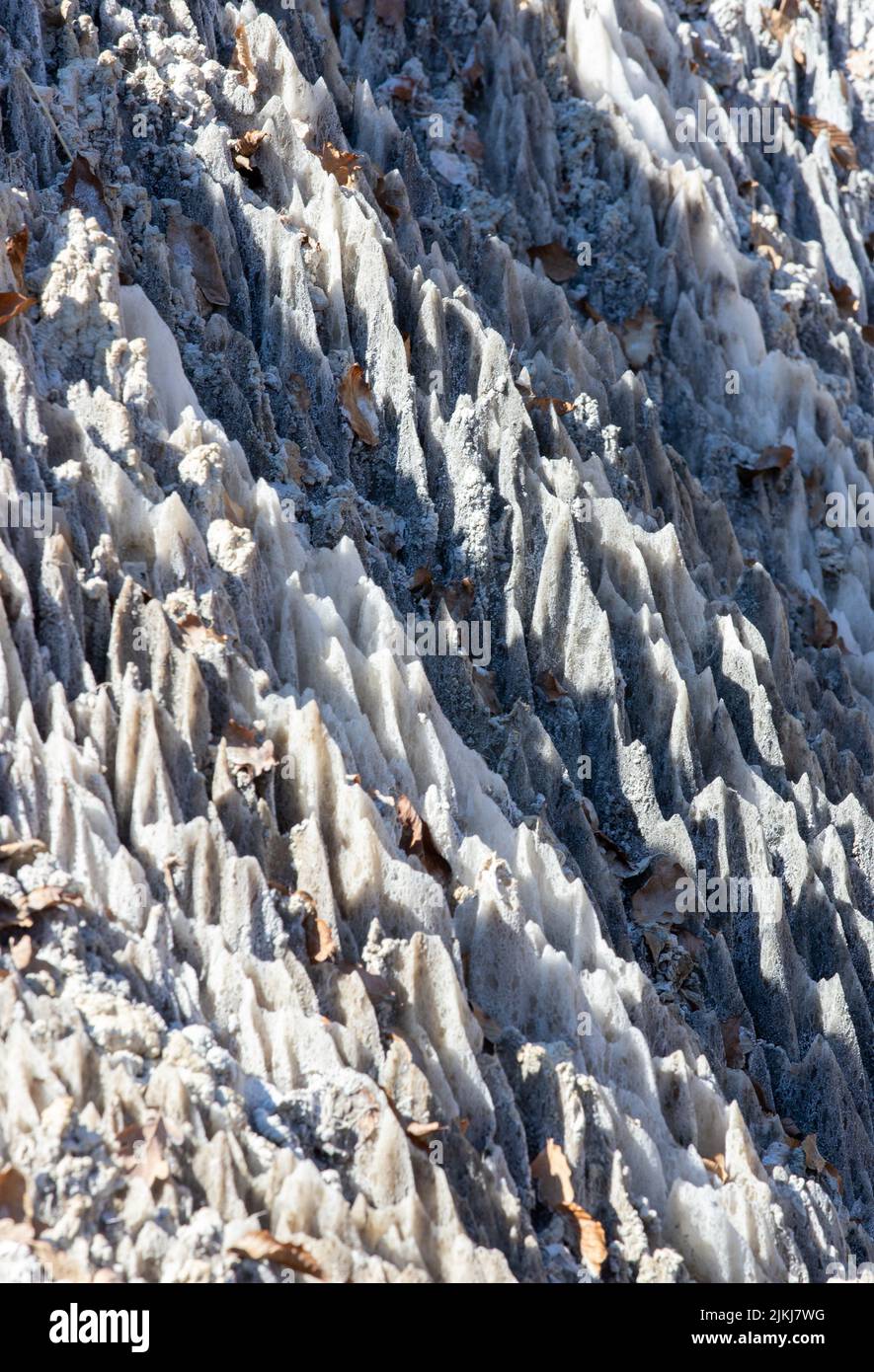 Eine vertikale Aufnahme einer Salzwand, die vom Wasser erodiert wurde Stockfoto