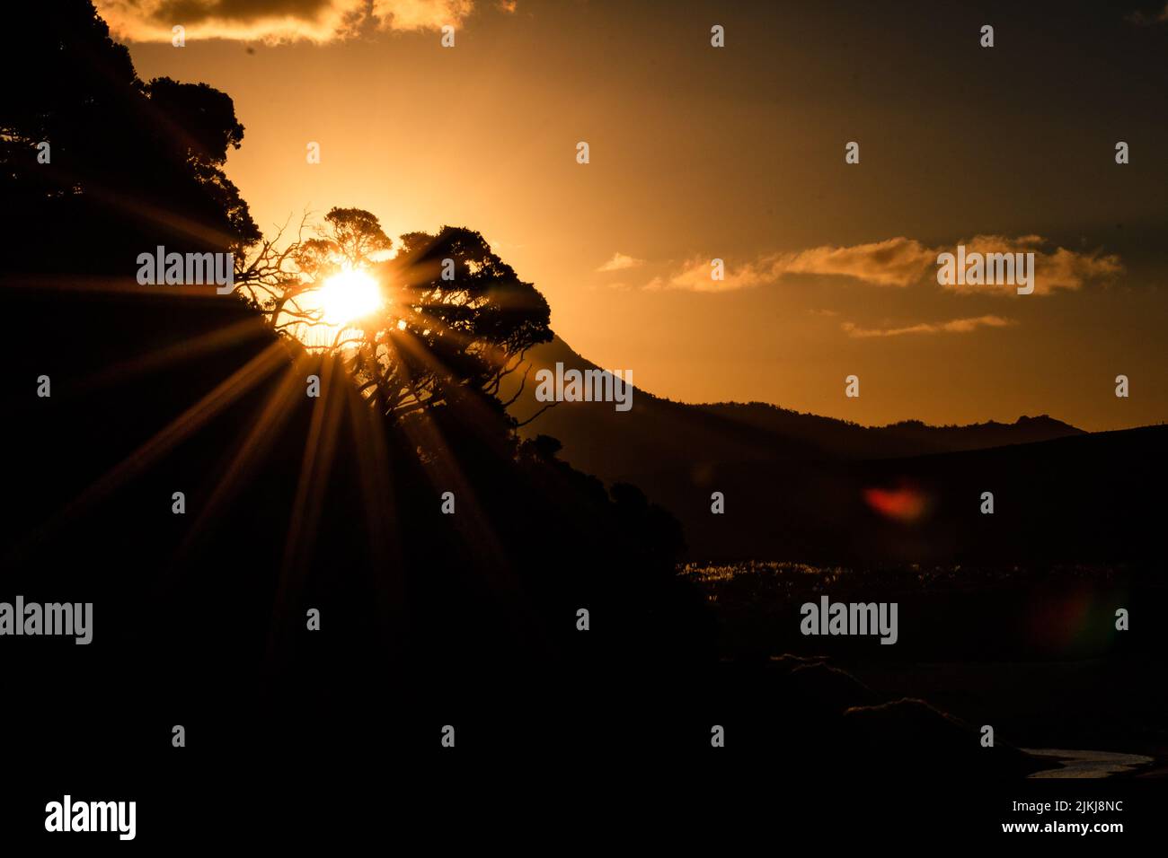 Eine Silhouette Blick auf die Bäume und Berge gegen Abendhimmel bei Sonnenuntergang am Ocean Beach, Hawke's Bay, Neuseeland Stockfoto