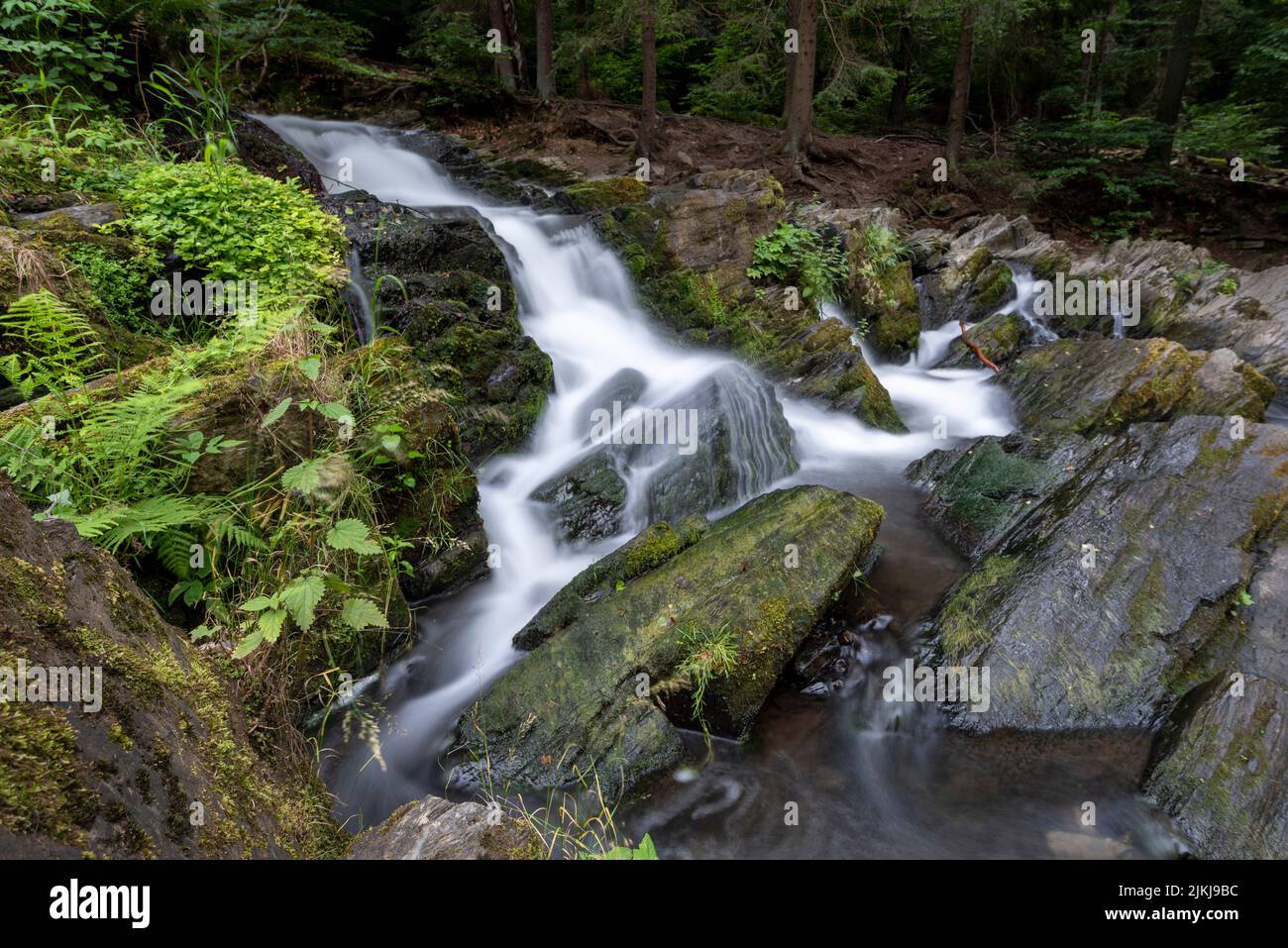 Selke Wasserfall, Selkefall, Bergbach, Harz Berge, Alexisbad, Sachsen-Anhalt, Deutschland Stockfoto