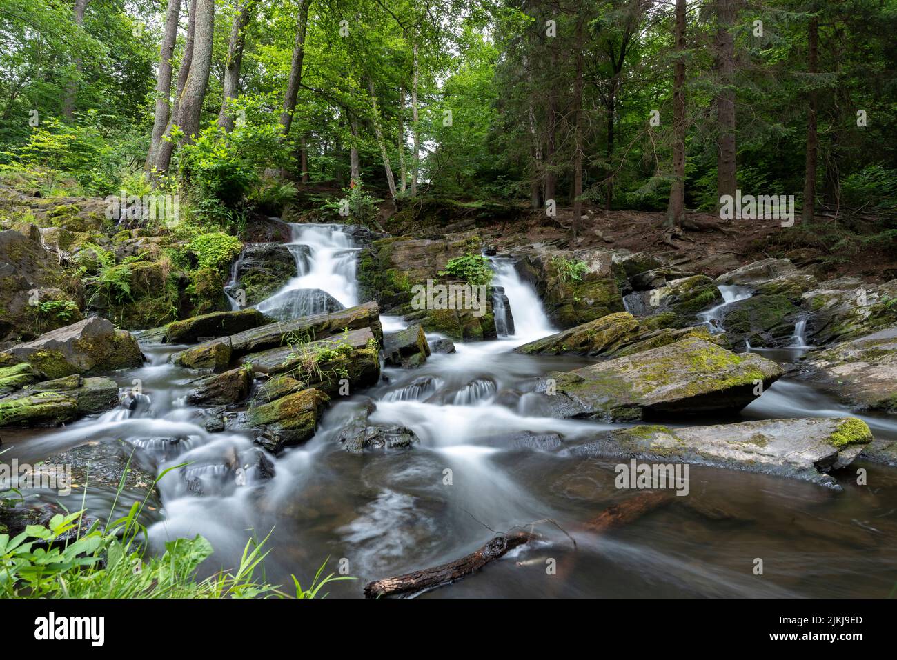 Selke Wasserfall, Selkefall, Bergbach, Harz Berge, Alexisbad, Sachsen-Anhalt, Deutschland Stockfoto