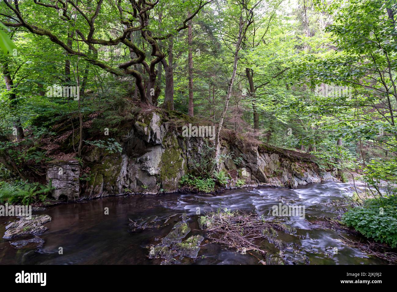 Selke Wasserfall, Selkefall, Bergbach, Harz Berge, Alexisbad, Sachsen-Anhalt, Deutschland Stockfoto