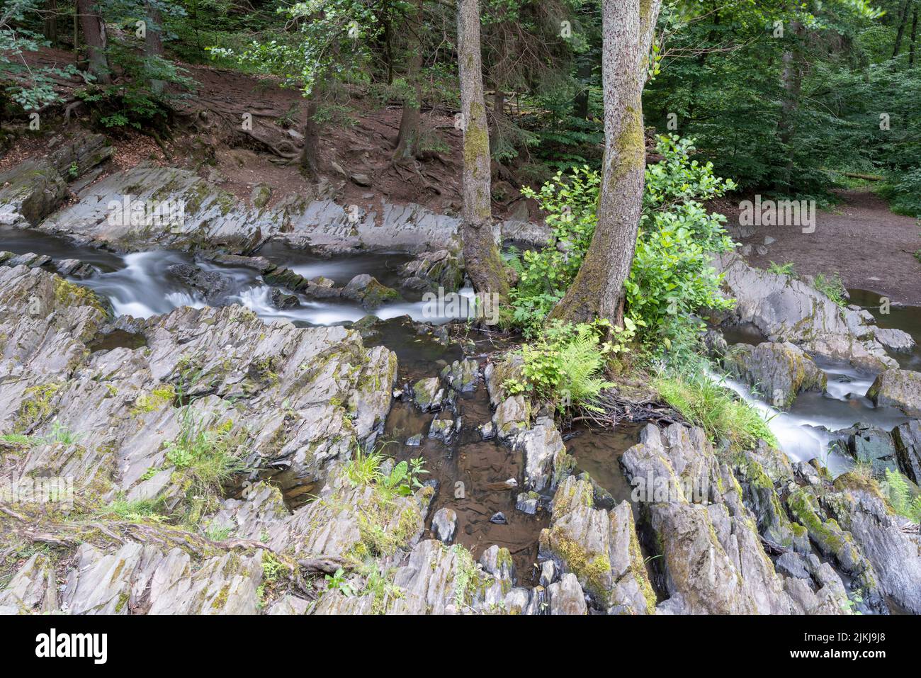 Selke Wasserfall, Selkefall, Bergbach, Harz Berge, Alexisbad, Sachsen-Anhalt, Deutschland Stockfoto