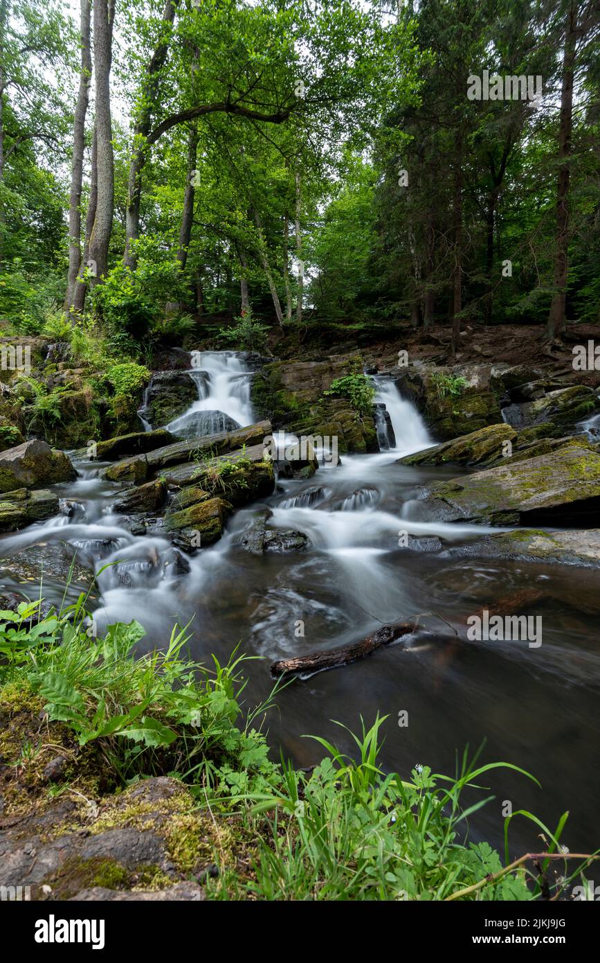 Selke Wasserfall, Selkefall, Bergbach, Harz Berge, Alexisbad, Sachsen-Anhalt, Deutschland Stockfoto