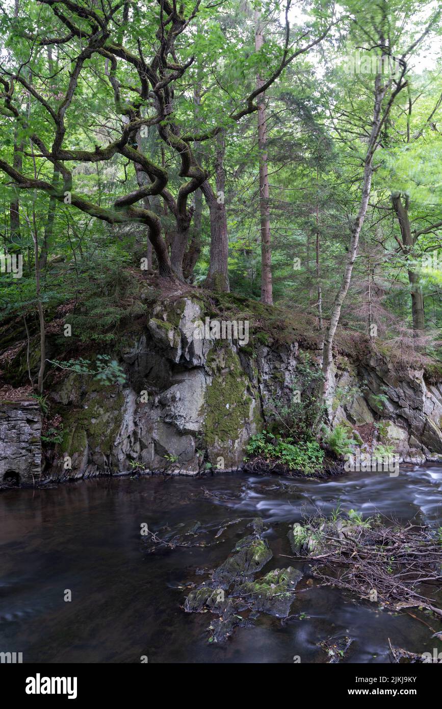 Selke Wasserfall, Selkefall, Bergbach, Harz Berge, Alexisbad, Sachsen-Anhalt, Deutschland Stockfoto