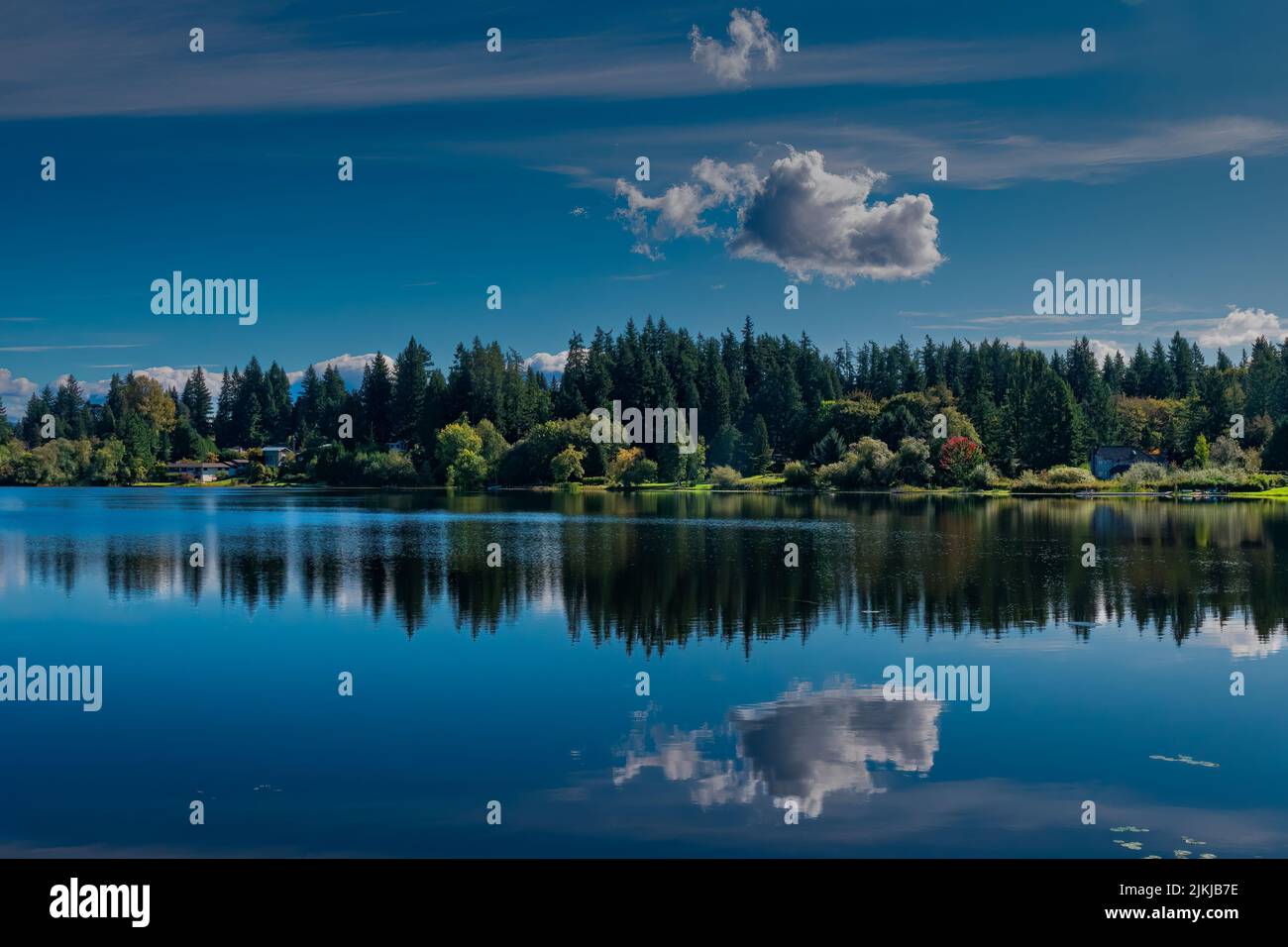 Eine schöne Aussicht auf Bäume, die sich auf dem Larsen-See in Bellevue, Washington, USA, spiegeln Stockfoto