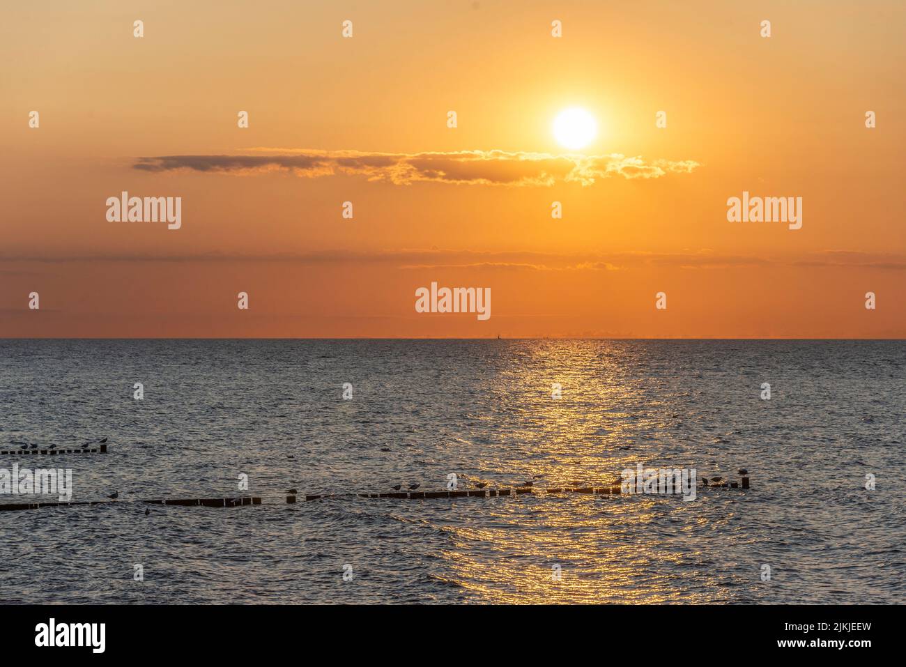 Deutschland, Mecklenburg-Vorpommern, Ostsee, Bad Doberan, Börgerende Stockfoto