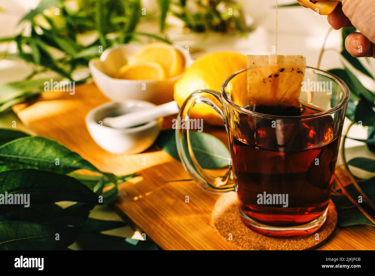 Natürliches pflanzliches Heilmittel gegen Erkältung und Grippe. Komposition mit Tee und warmem Kariert auf Holztisch. Stockfoto
