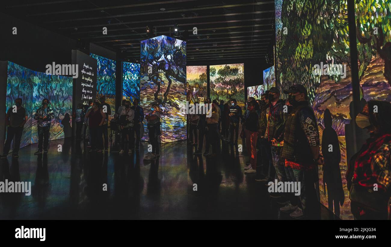 St. Petersburg, Florida 14. Januar 2021: Während seiner Amtszeit im Dali Museum wird die immersive Van Gogh Alive Exhibition gezeigt Stockfoto