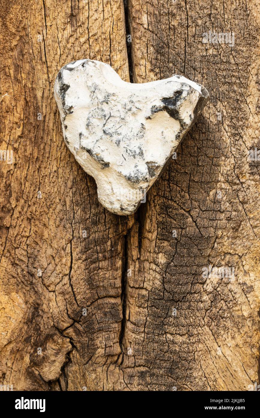 Herzförmiger Stein auf Holzgrund, Stillleben Stockfoto