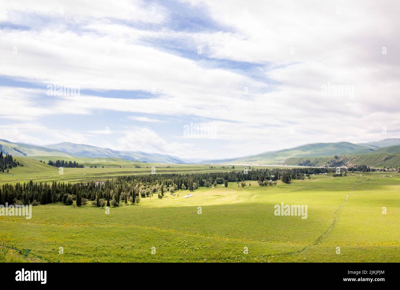 Eine schöne Aussicht auf grünes Grasfeld mit Bäumen und Bergen im Hintergrund in Xinjiang, China Stockfoto