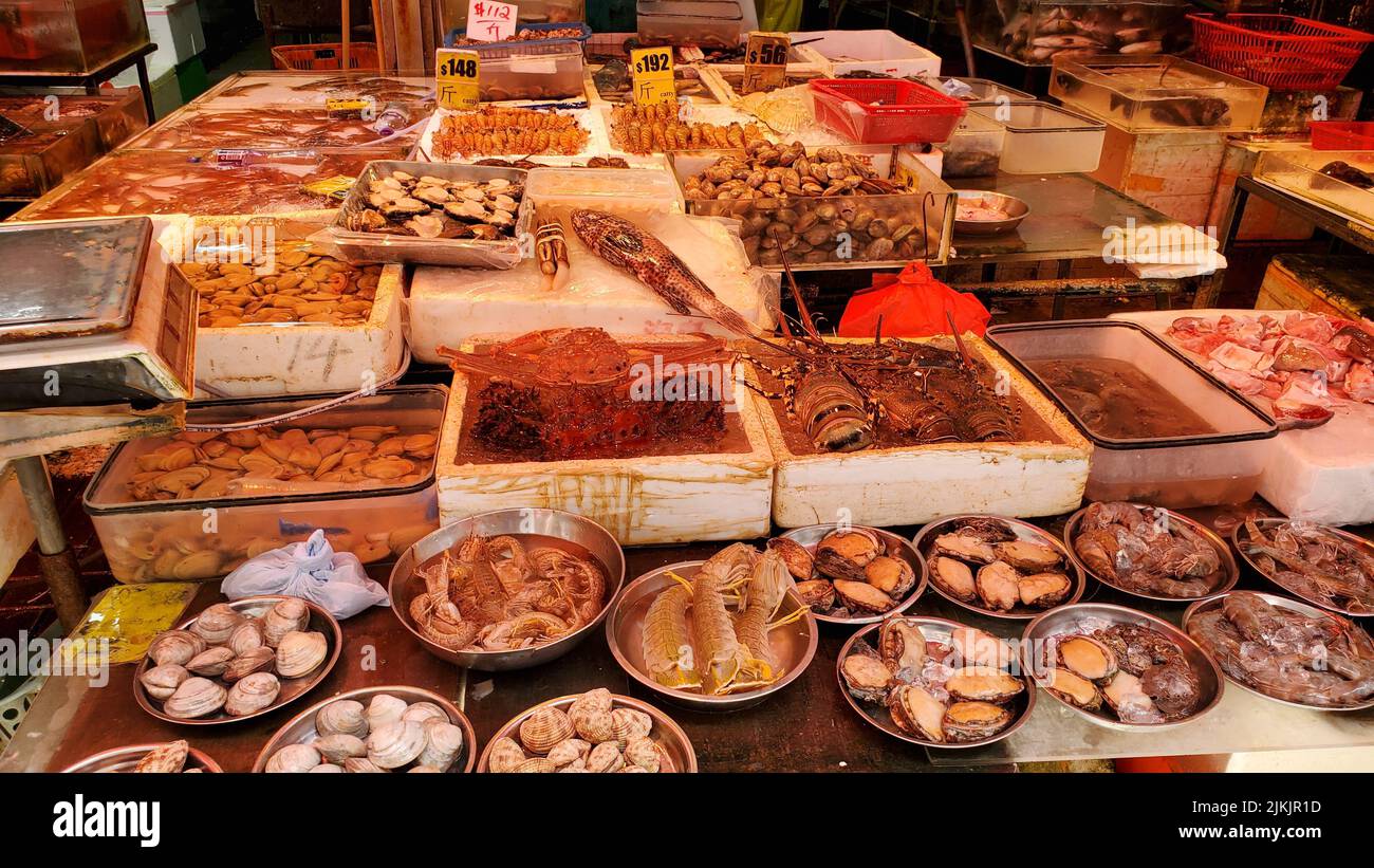 Der Fischstand in Hongkong. Viele interessante Fänge, die meisten von ihnen noch zappelnd. Stockfoto