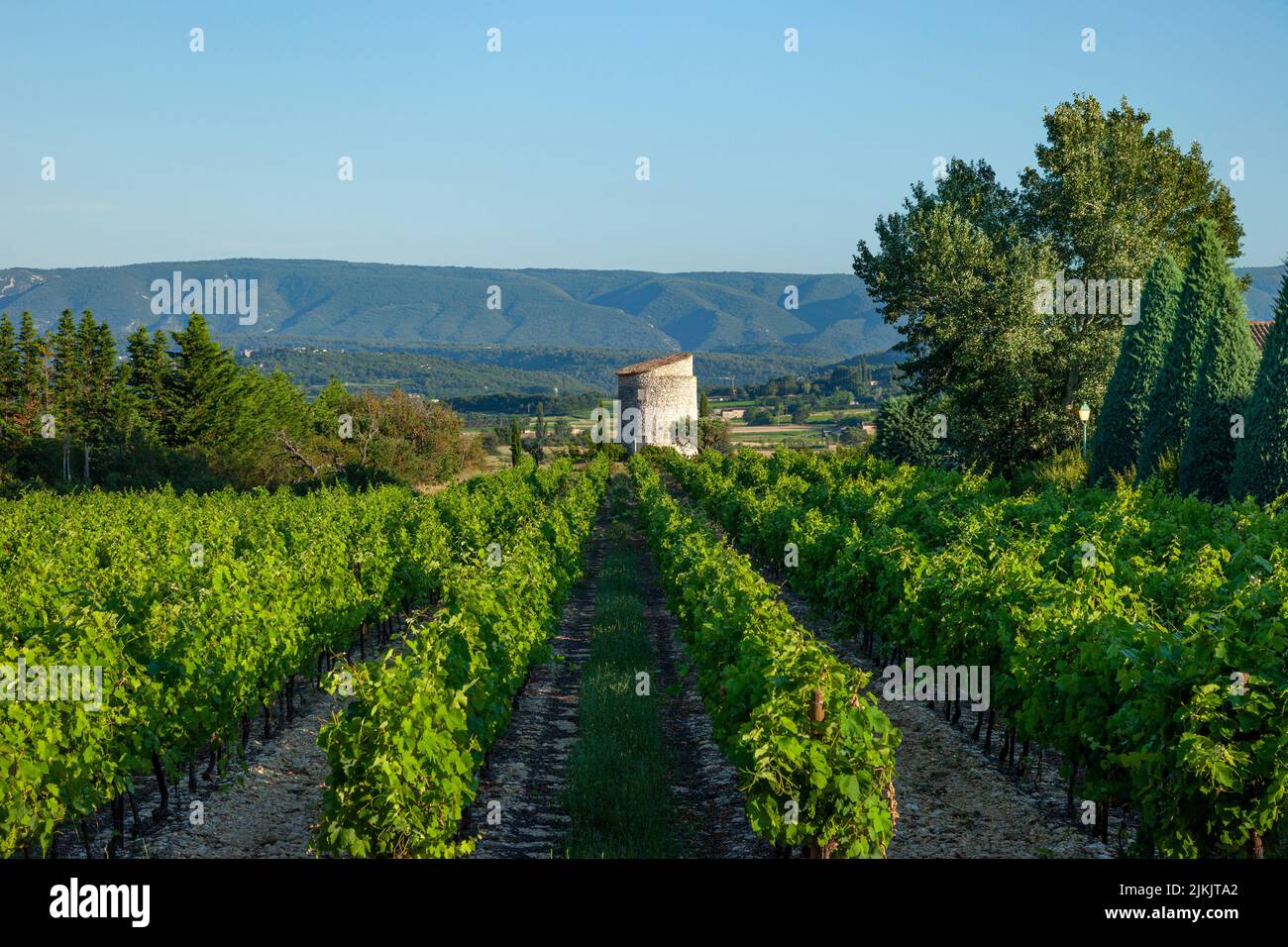 Kleines Weingut und Ferienhaus in der Nähe von Gordes mit dem Massiv des Luberon-Gebirges im Hintergrund, Provence, Frankreich Stockfoto