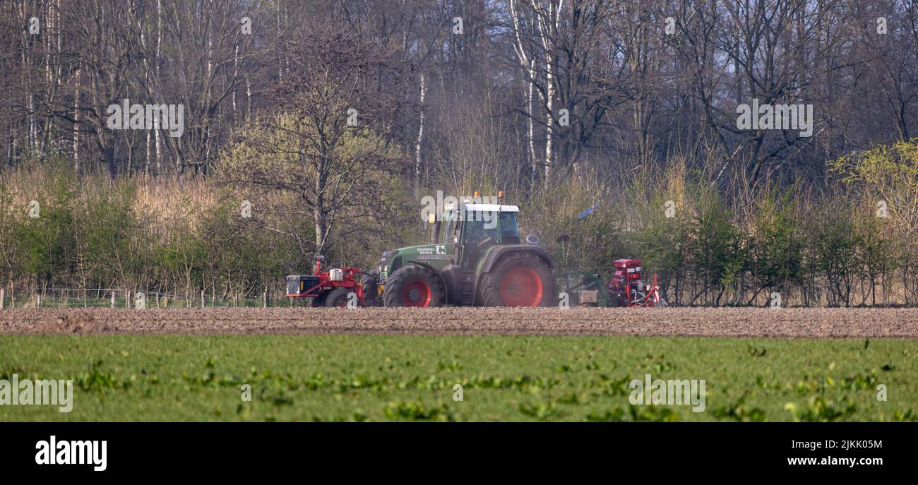 Ein Fendt-Traktor, der in Nederweert, Niederlande, durch das Feld pflügt Stockfoto