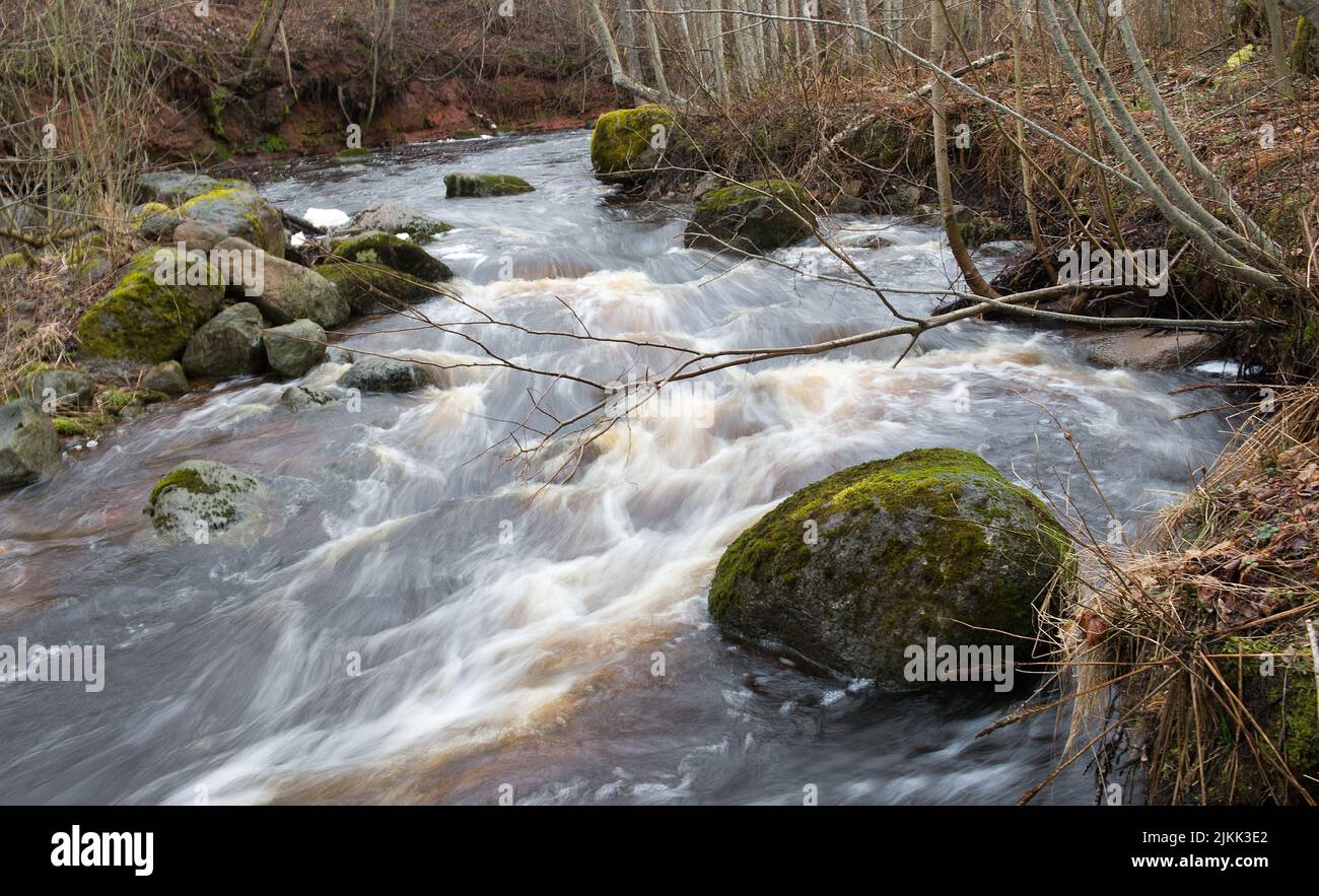 Eine schöne Aussicht auf einen Fluss Salaca fließt über Steine durch den Wald, Lettland Stockfoto