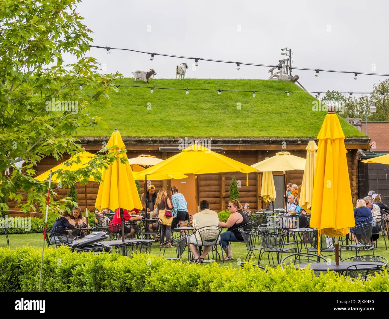 Ziegen auf dem Dach von Al Johnson's Swedish Restaurant mit stabbur Scandinavian Beer Garden im Vordergrund in Sister Bay in Door County in Wisconsi Stockfoto