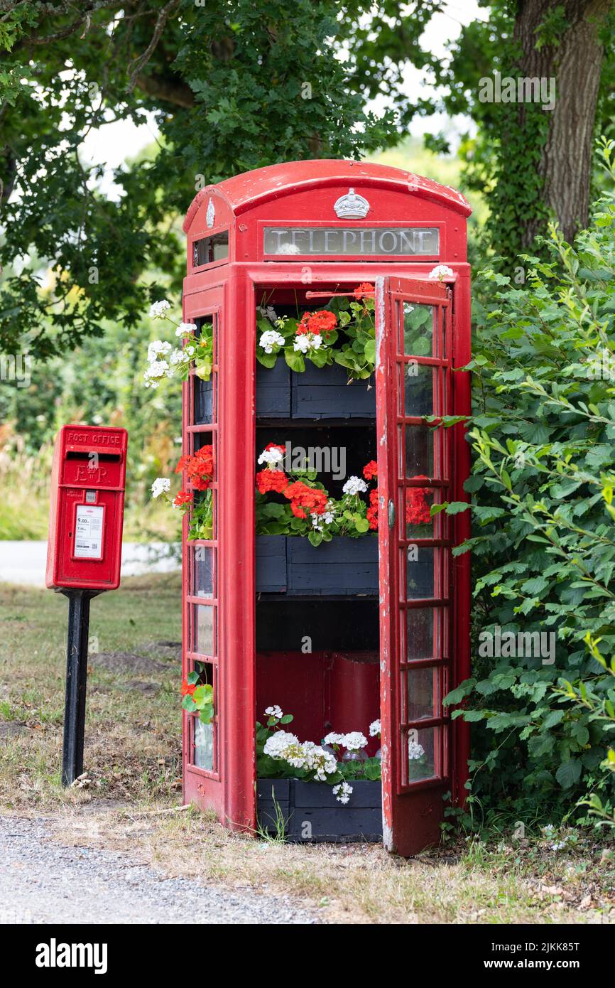 Telefonbox gefüllt mit Blumen - Rote Telefonbox und Postbox gefüllt mit roten und weißen Blumen - England, UK Stockfoto