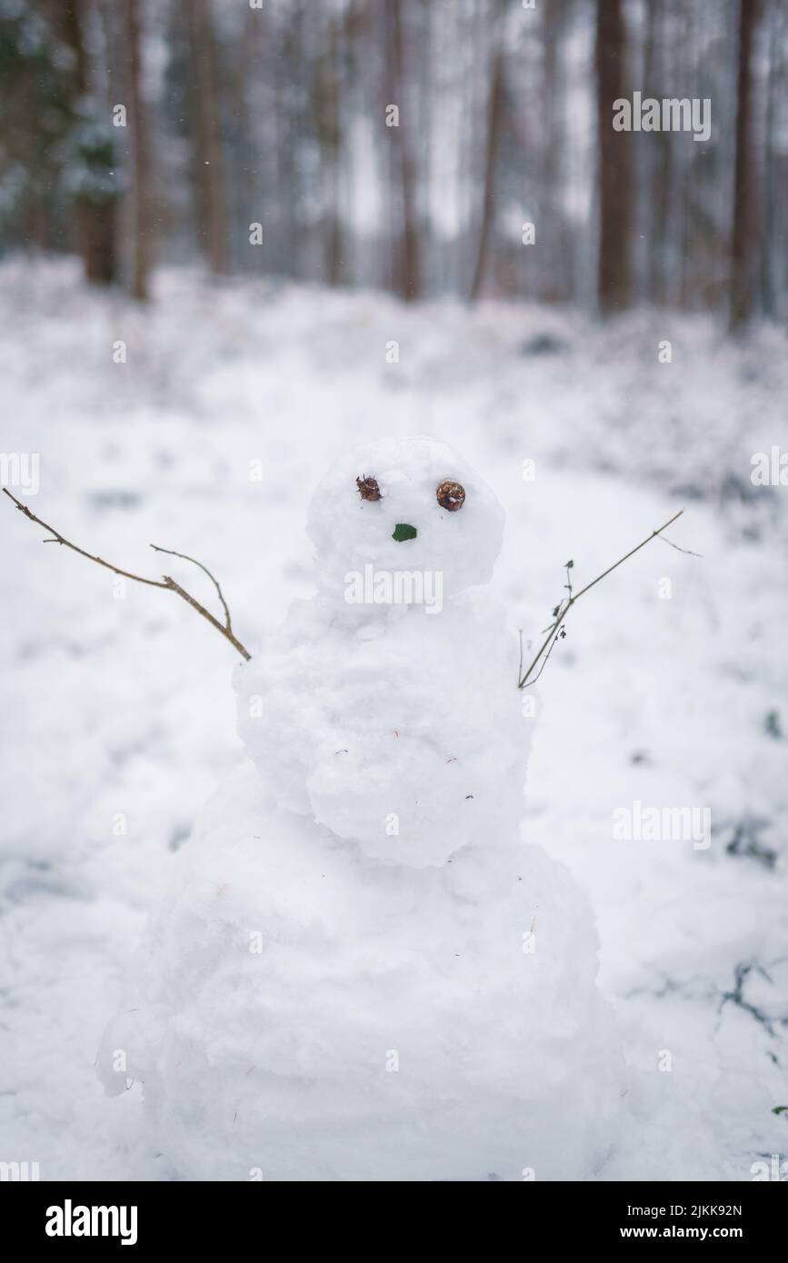 Eine vertikale Aufnahme eines Schneemanns mit Zweig-Armen in einem verschneiten Feld Stockfoto