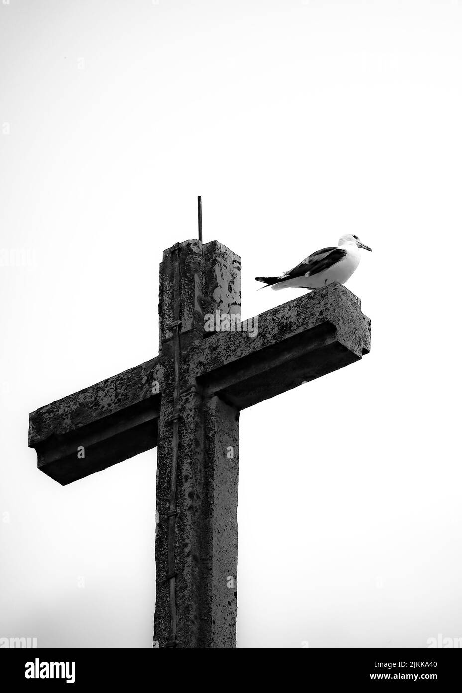 Ein niedriger Winkel Graustufenaufnahme eines Steinkreuzes und eines Vogels, der auf ihm isoliert auf einem weißen Hintergrund steht Stockfoto