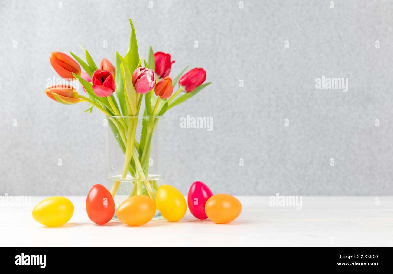 ostereier mit bunten Tulpen und grauem Hintergrund und Kopierraum Stockfoto