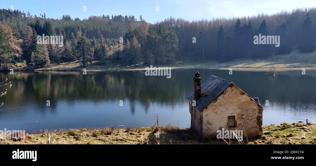 Ein schöner Blick auf das Haus am See, umgeben von hohen grünen Bäumen Stockfoto