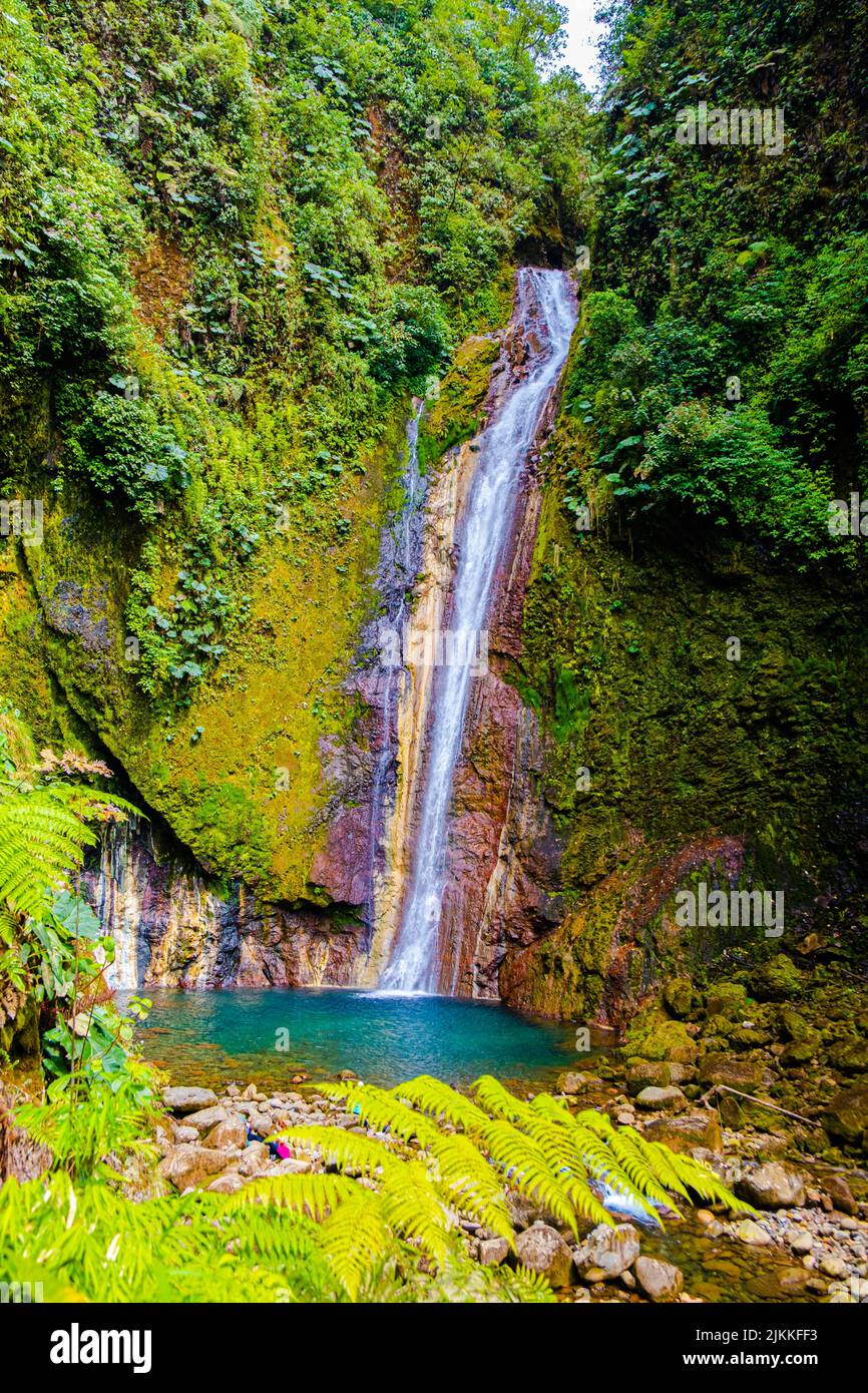 Eine wunderschöne Aussicht auf den Hidden Treasure Wasserfall (Tesoro Escondido Wasserfall) an einem sonnigen Tag in Bajos del Toro, Costa Rica Stockfoto