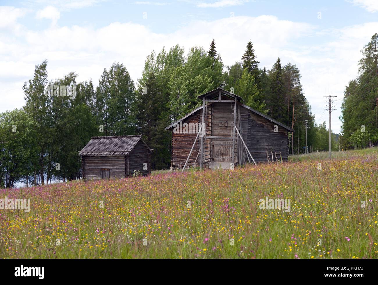 Alte Holzställe. Wildblumen, Wiesen und Telefonleitungen. Wälder im Hintergrund. Ländliche Umgebung. Stockfoto