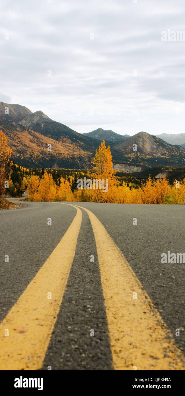 Eine vertikale Aufnahme einer asphaltierten Straße im Herbst im Denali Nationalpark, Alaska, USA Stockfoto