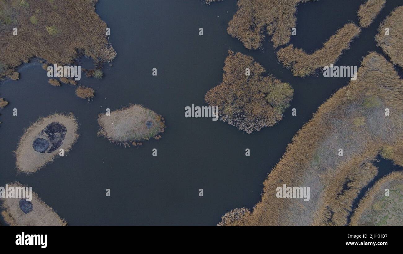 Eine Luftaufnahme eines feuchten Landes, umgeben von Trockenpflanzen. Stockfoto