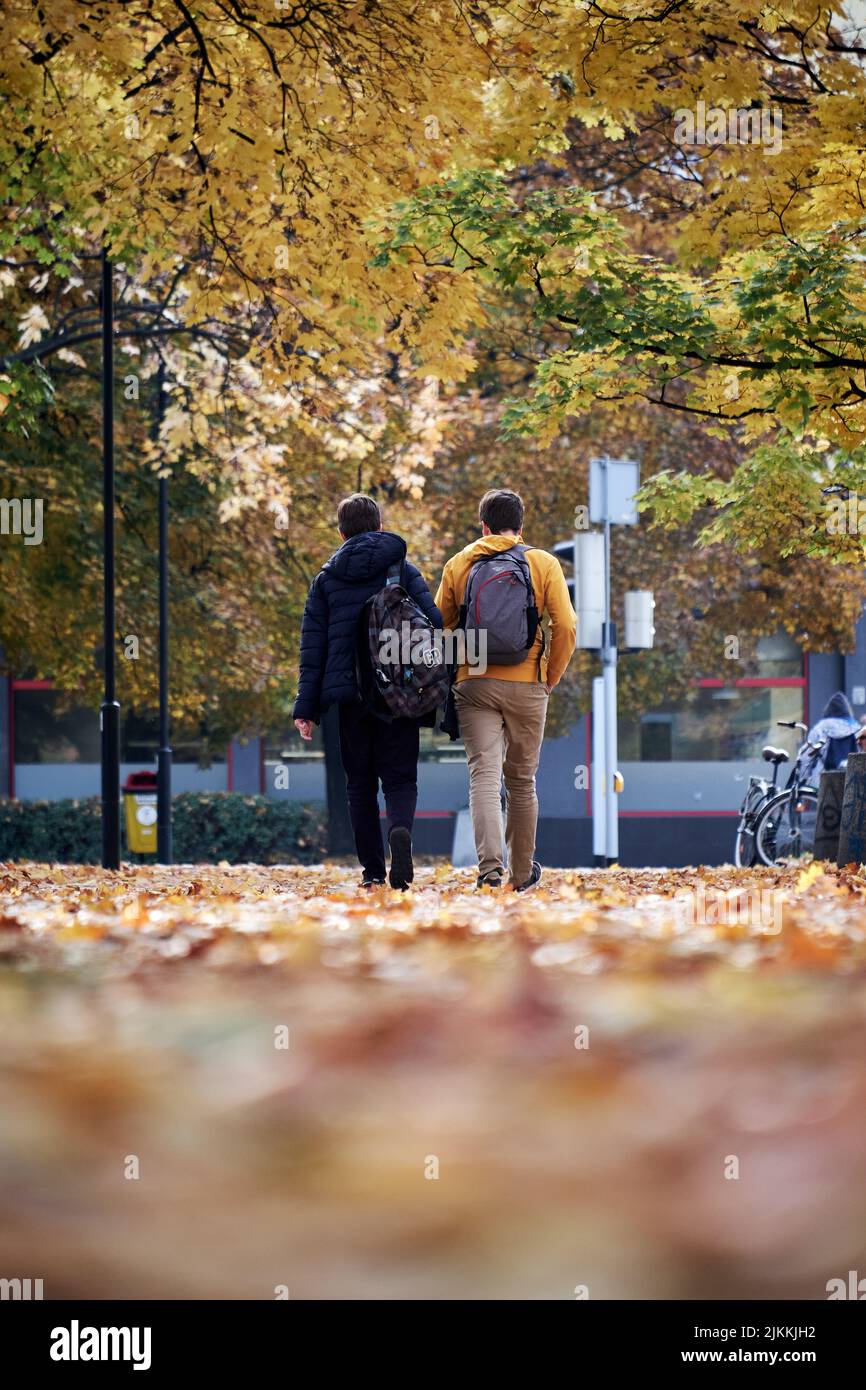 Eine Rückansicht von Freunden, die in einem Herbstpark spazieren Stockfoto