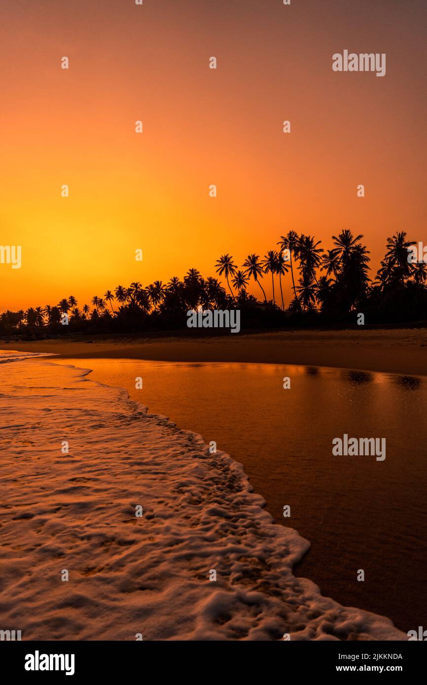 Eine vertikale Sonnenuntergangsszenerie mit Silhouette von Palmen und Meer im Vordergrund in Sri Lanka Stockfoto