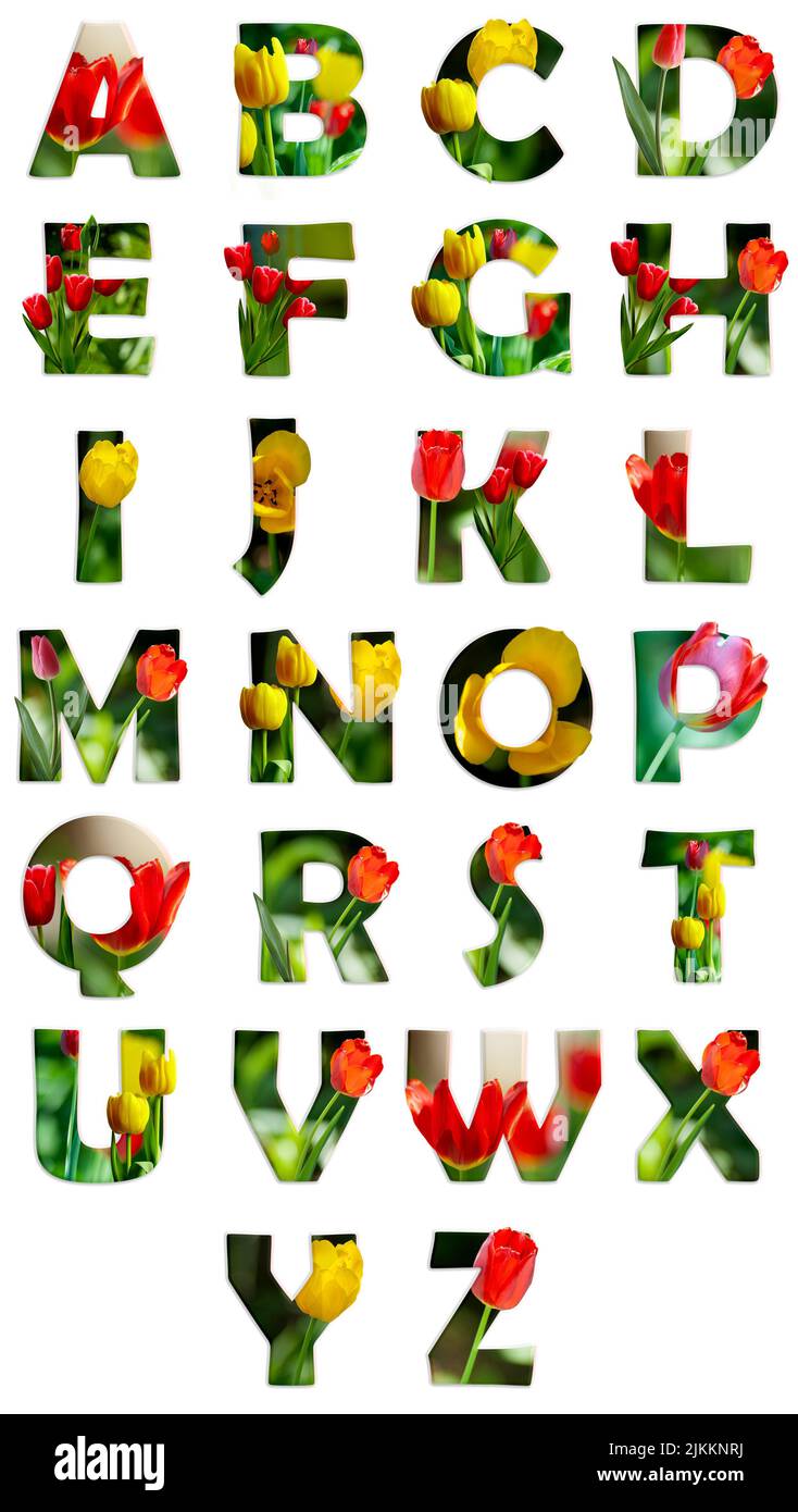 Blumenbuchstaben. Das Aplhabet aus echten lebendigen bunten Frühlingsblumen-Fotos. Eine Sammlung von wunderbaren Pflanzenbuchstaben für einzigartige Frühlingsdekorationen Stockfoto
