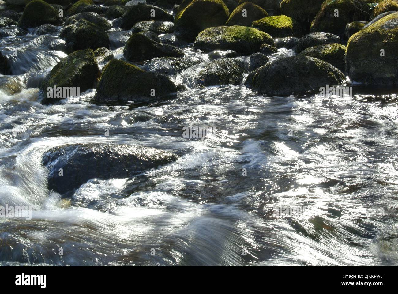 Der Fluss und moosige Felsen mit dem Sonnenlicht auf der Wasseroberfläche. Lettland. Stockfoto