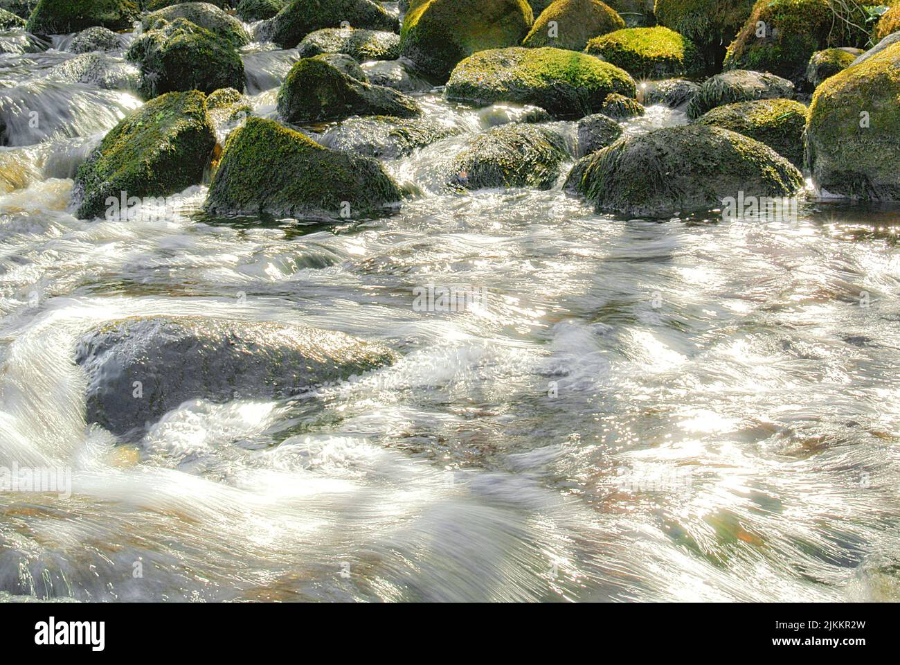 Der Fluss und moosige Felsen mit dem Sonnenlicht auf der Wasseroberfläche. Lettland. Stockfoto