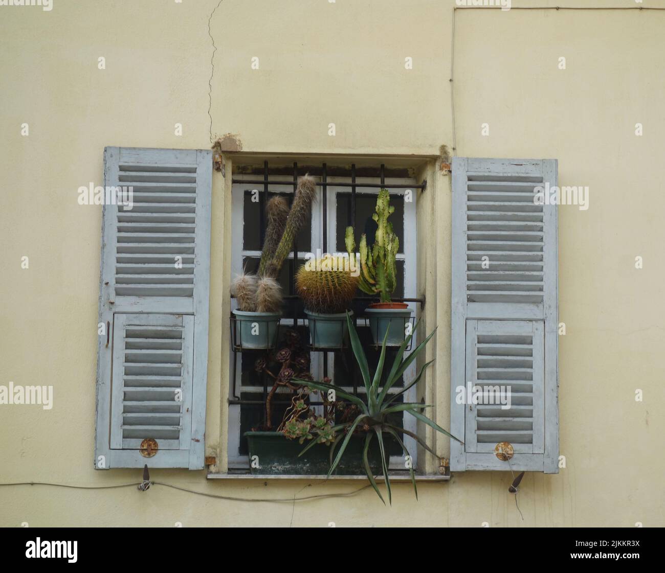 Eine schöne Aufnahme von Pflanzen, die an einem Fenster hängen Stockfoto
