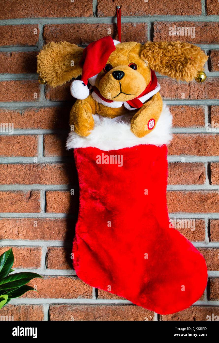Eine Nahaufnahme eines Weihnachtsstrumpfs mit einem ausgestopften Hundespielzeug, das mit einem Backstein-Hintergrund gekleidet ist Stockfoto