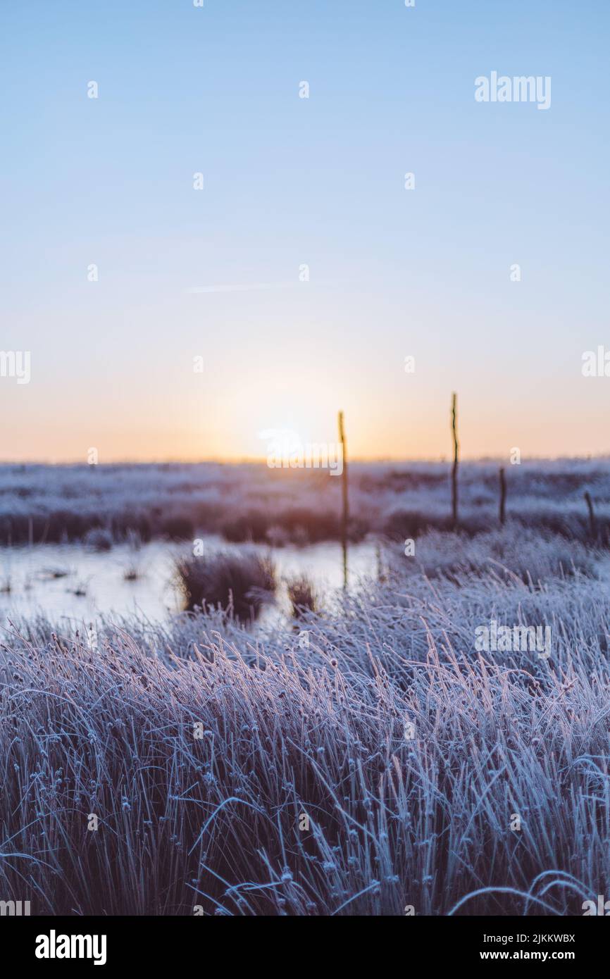 Eine vertikale Aufnahme eines wunderschönen Sees im Winter auf dem Feld Stockfoto