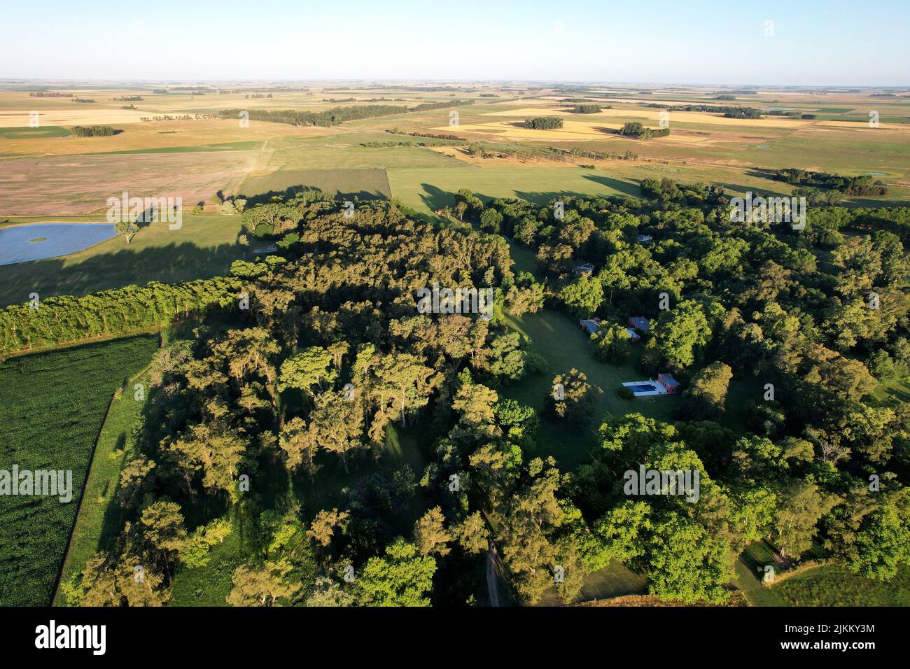Eine Luftaufnahme von ländlichen Feldern mit Bäumen in La Pampa, Argentinien Stockfoto