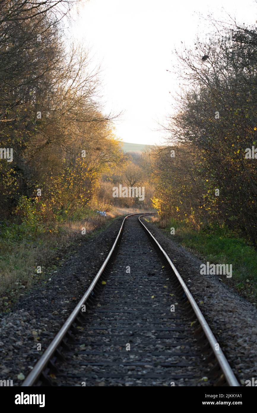 Eine vertikale Aufnahme von Eisenbahnschienen, die bei Sonnenuntergang von Bäumen umgeben sind Stockfoto