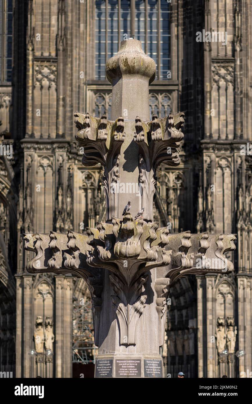 Kölner Dom in einem hellen Sommersonnenlicht Stockfoto