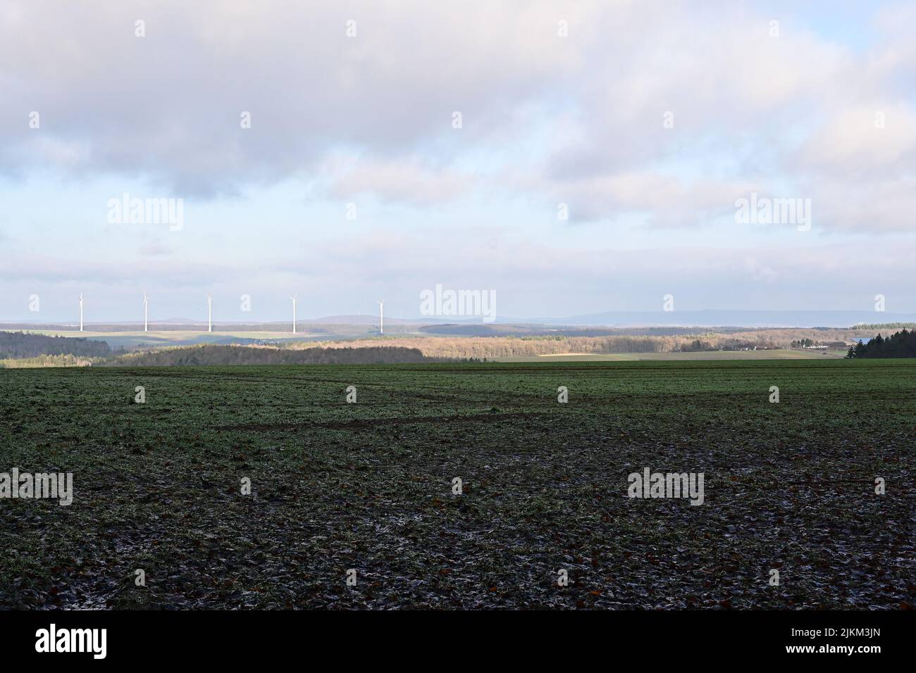 Ein schöner Blick auf ein grünes landwirtschaftliches Feld unter einem bewölkten Himmel mit Windmühlen im Hintergrund Stockfoto