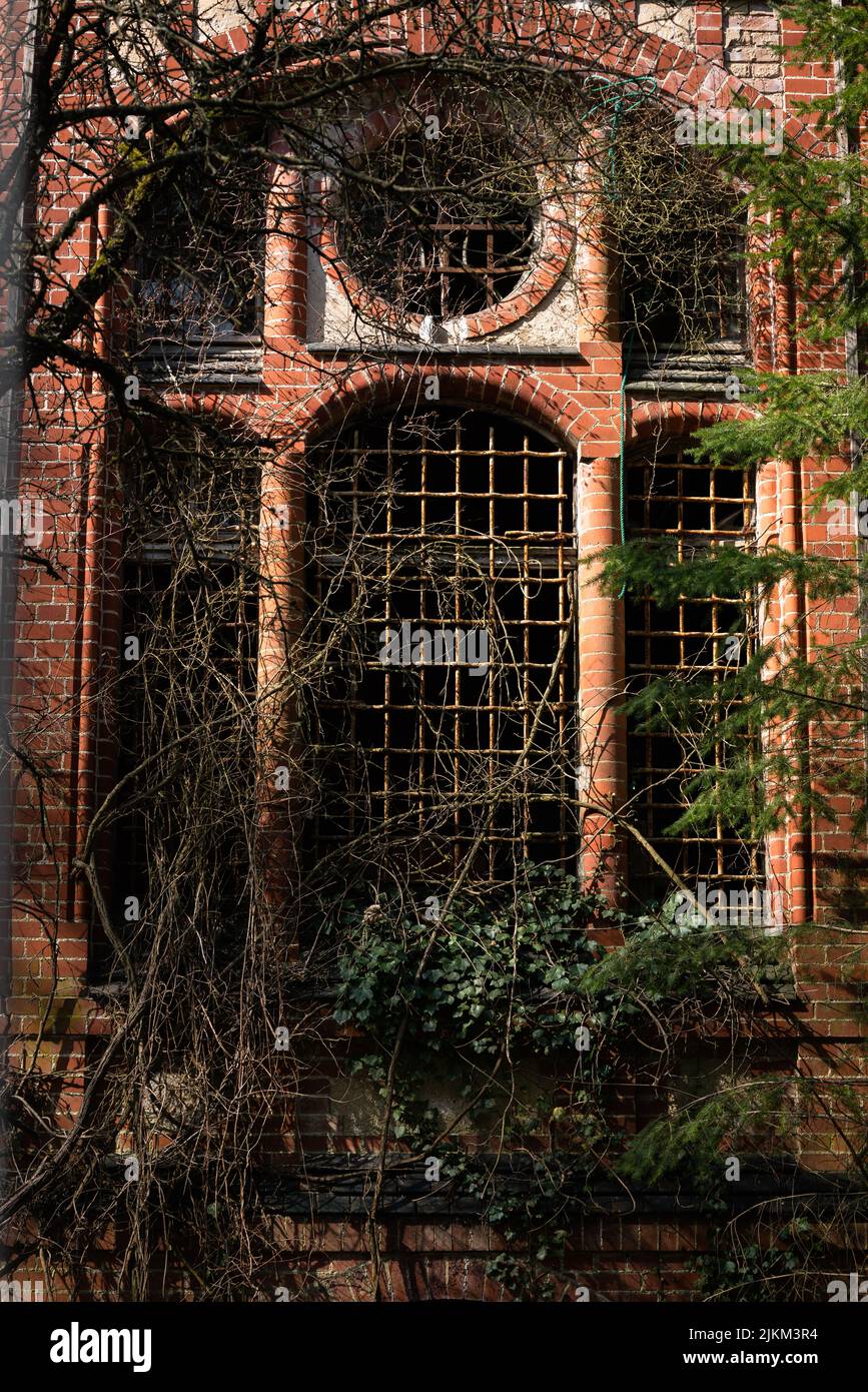 Eine Frontfassade eines Backsteingebäudes mit überwucherten grünen Pflanzen Stockfoto