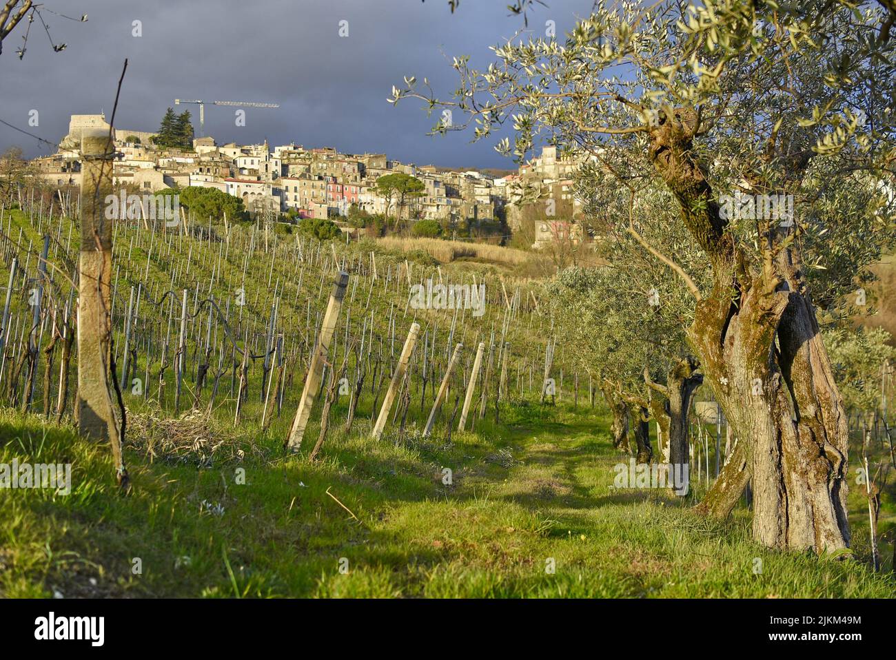 Ein landwirtschaftliches Feld im Hintergrund eines Dorfes bei bewölktem Wetter. Stockfoto