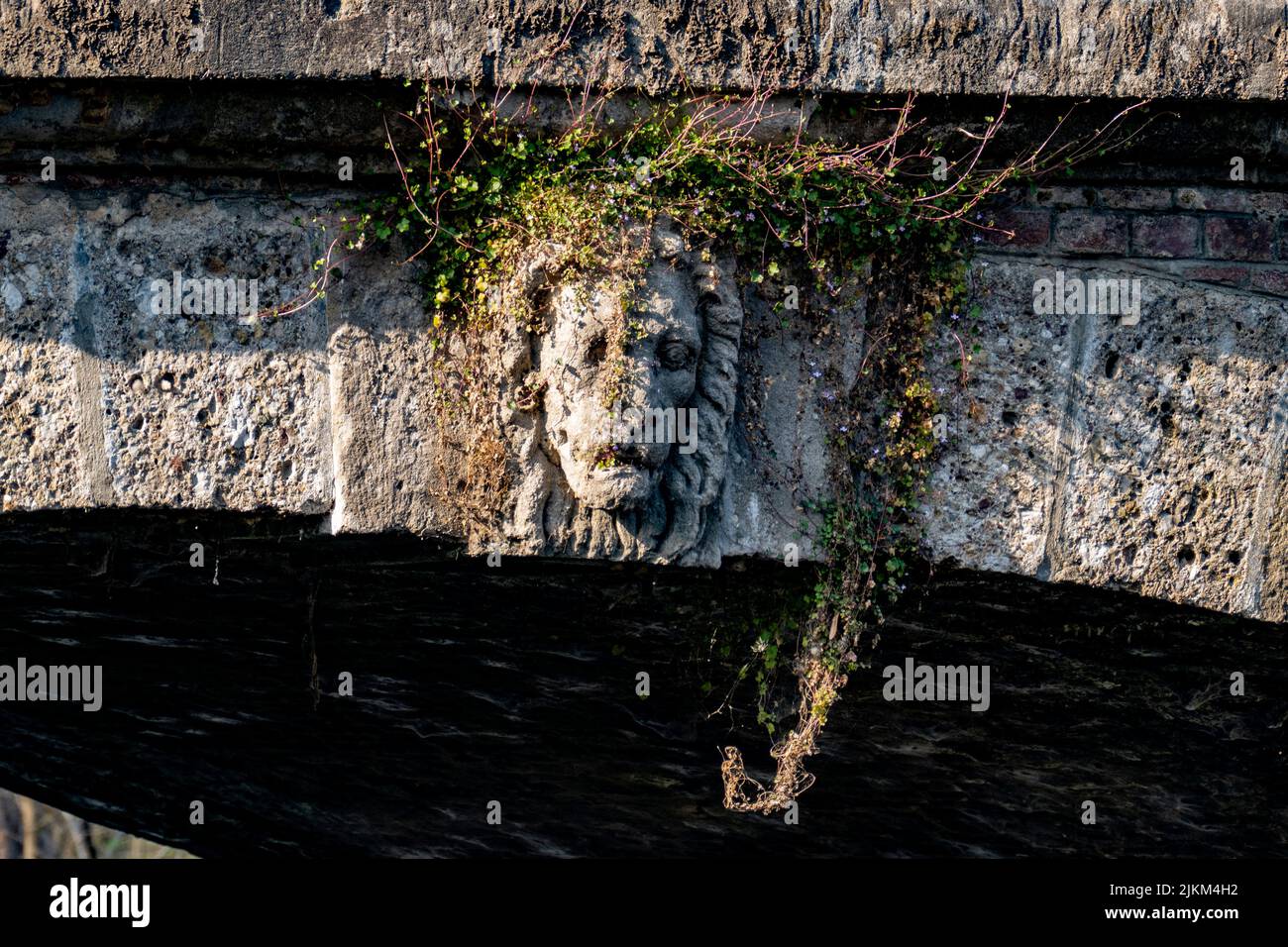 Eine Nahaufnahme einer Statue eines Löwenkopfes, der mit Pflanzen bedeckt ist und auf einem unteren Teil einer Brücke platziert ist. Stockfoto