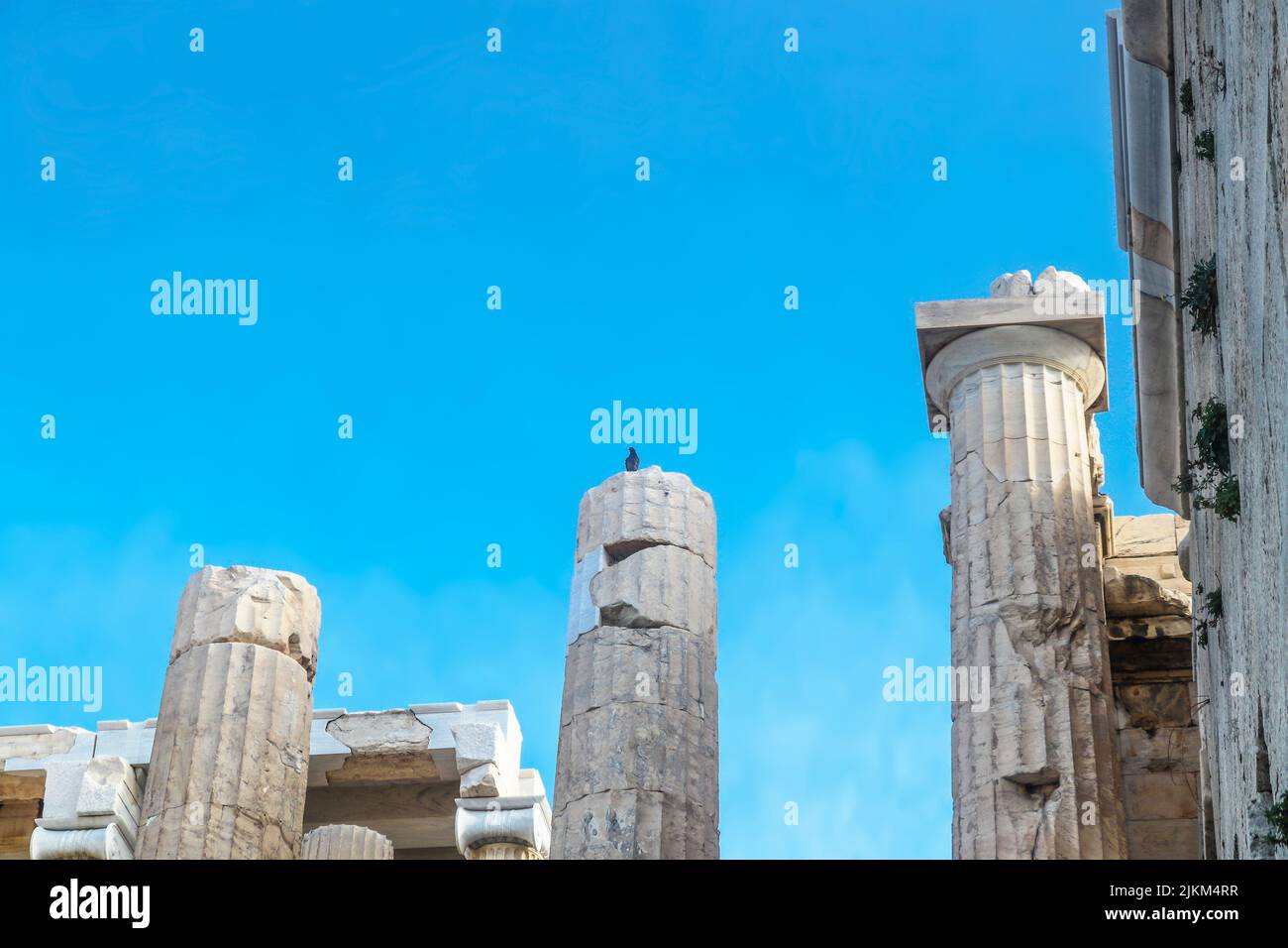 Nahaufnahme der rekonstruierten Säulen auf der Akropolis in Athen Griechenland mit alten und neuen Teilen passt zusammen - Vogel auf der Säule - Platz für Kopie Stockfoto