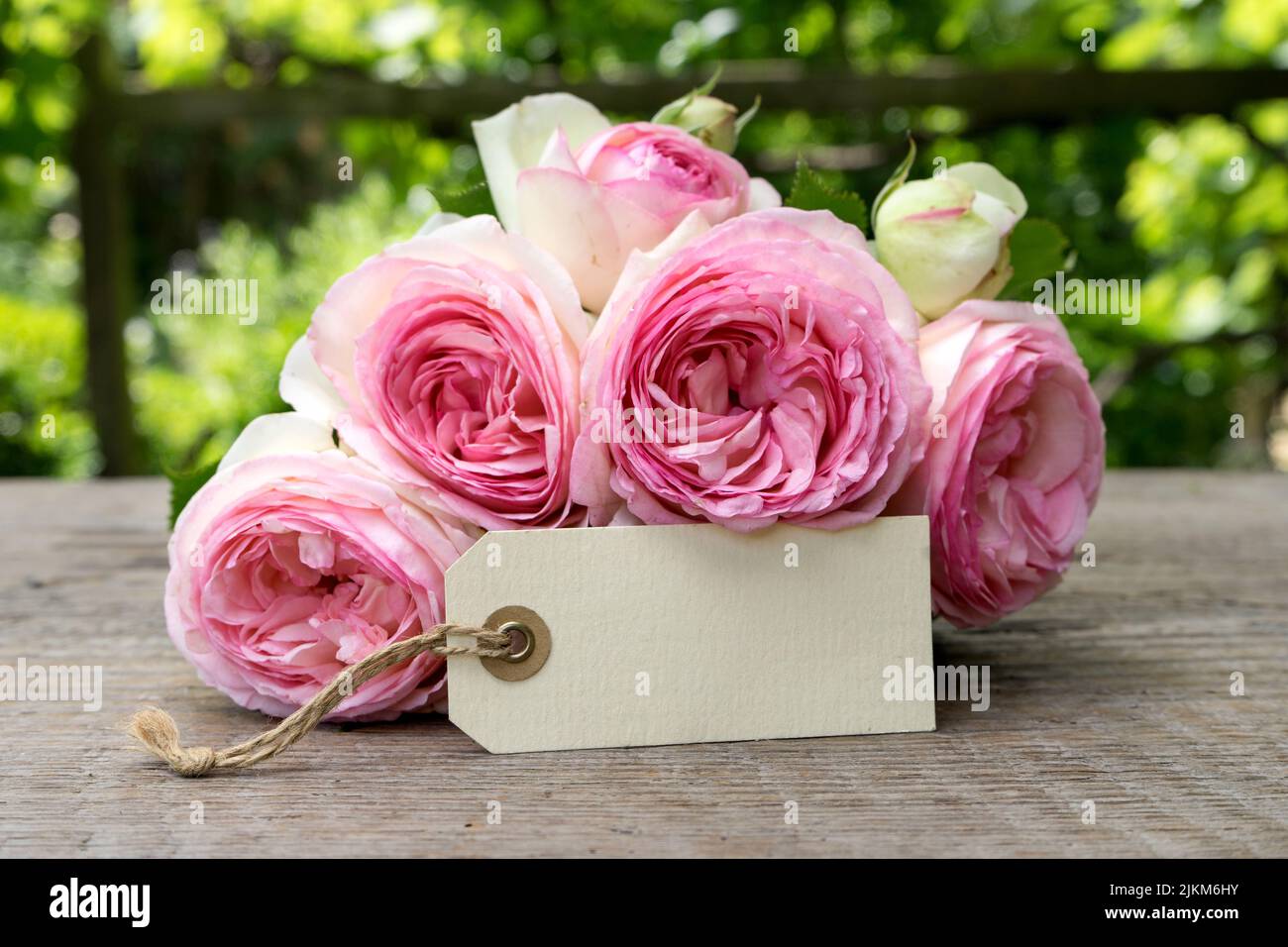 Strauß rosa Rosen und Karte mit Kopierplatz Stockfoto