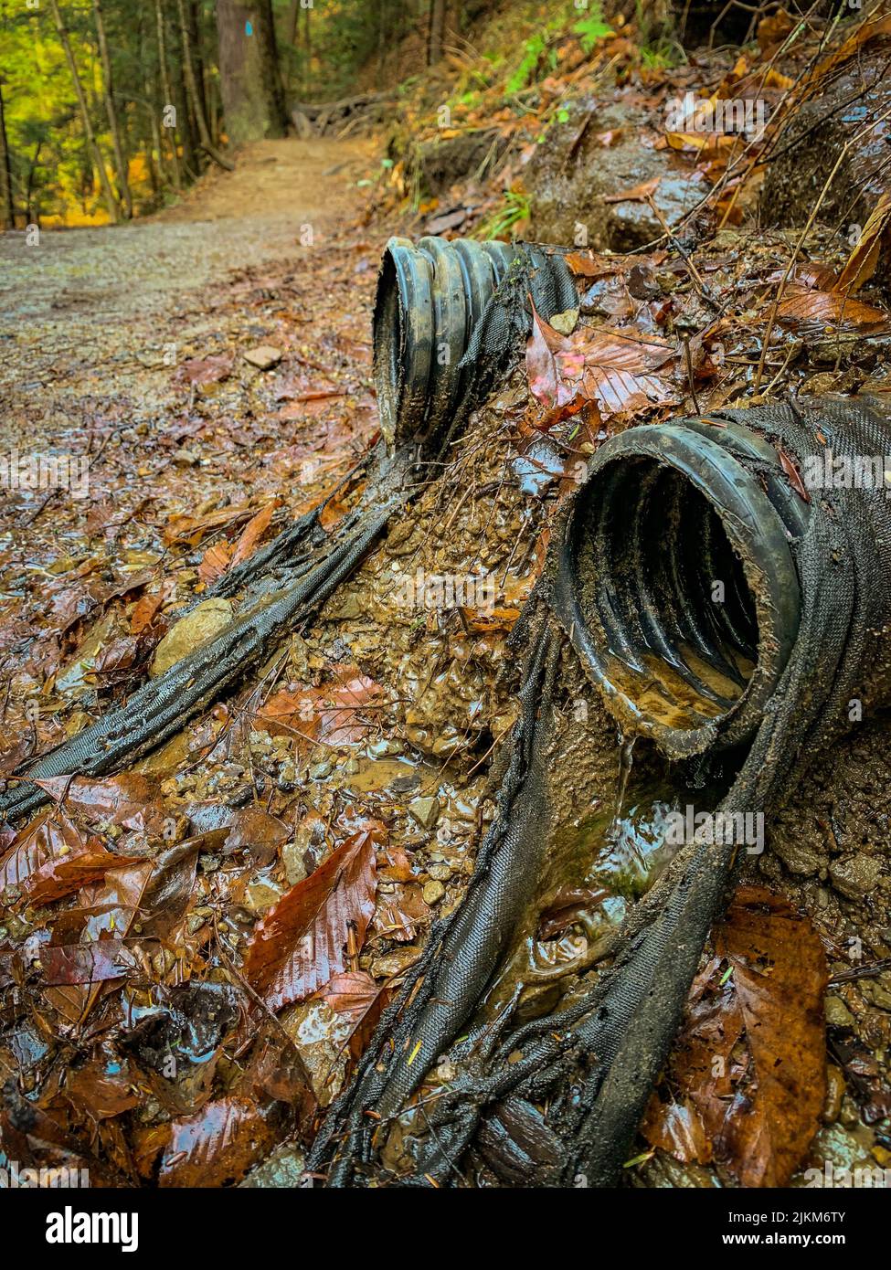 Eine vertikale Aufnahme schmutziger Wasserabwasserkanäle im Wald Stockfoto