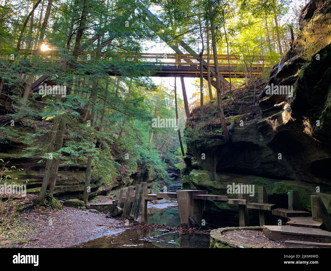Eine Brücke über den Bach, der zwischen Felsen und dichten Bäumen im moosigen Wald fließt Stockfoto