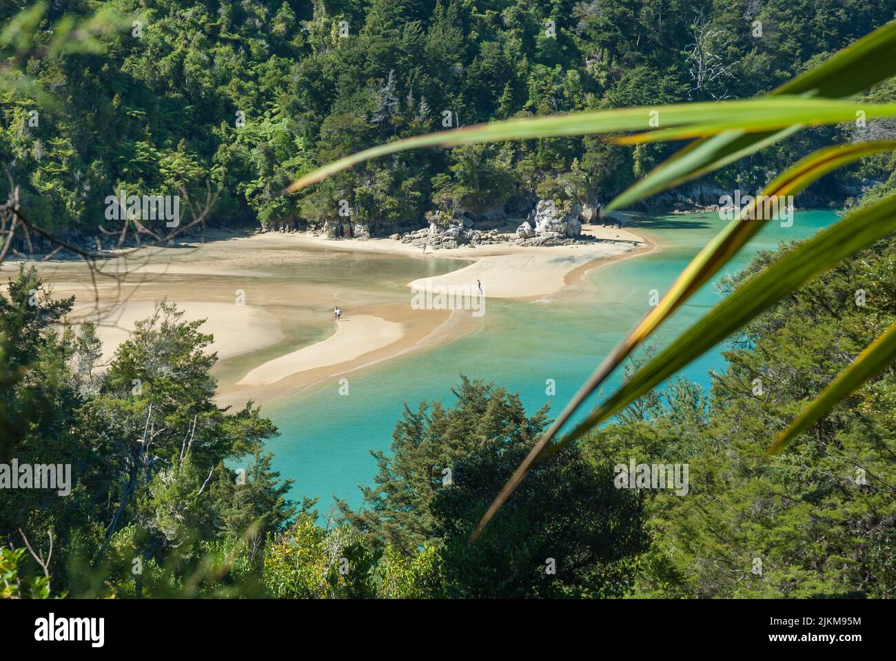 Apple Tree Bay Abel Tasman National Park Südinsel Neuseeland Stockfoto