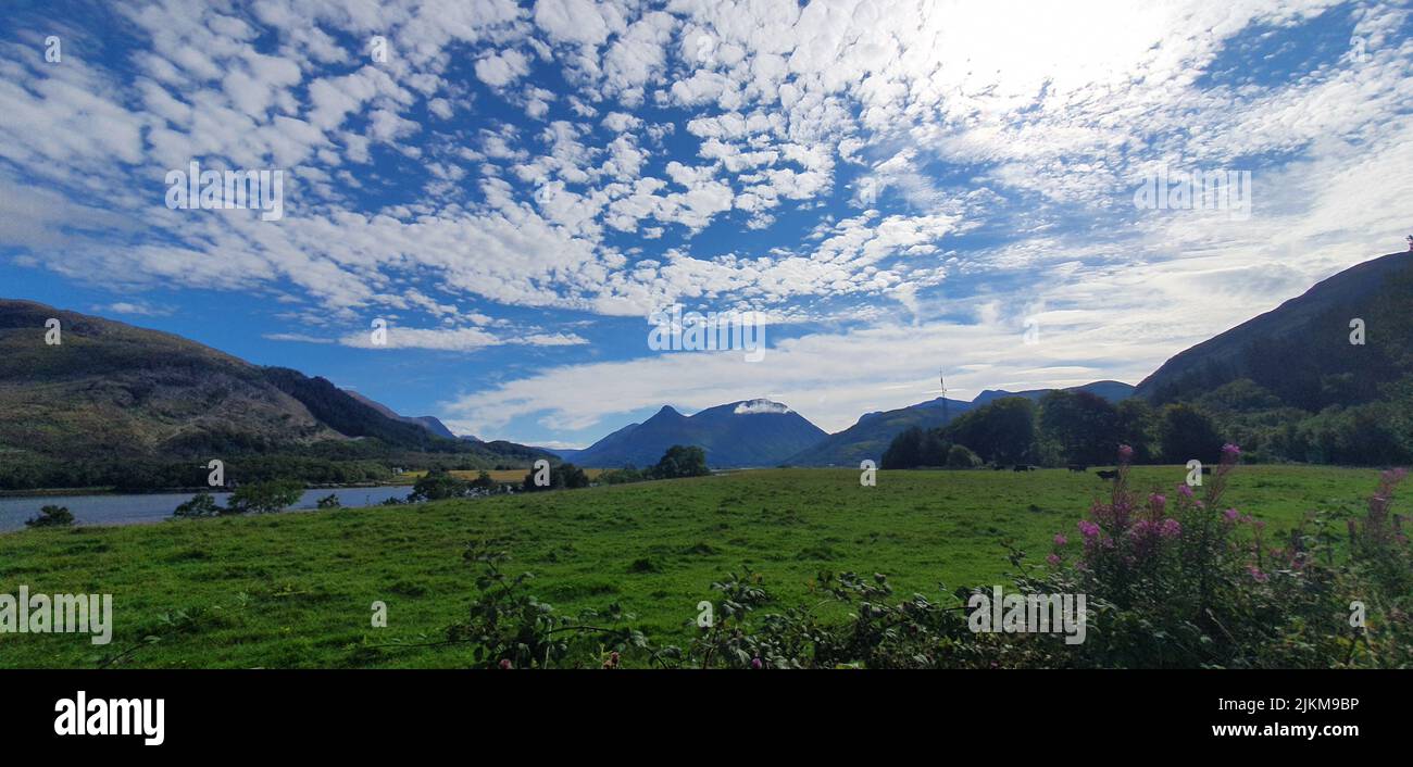 Die schöne Sommerlandschaft mit der grünen Wiese und Hügeln gegen den blauen Himmel mit weißen Wolken. Stockfoto
