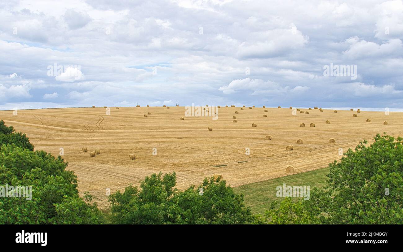 Kornfelder, auf denen Strohballen nach der Ernte verbleiben. Weizen wurde geerntet. Lebensmittel und Futtermittel für Nutztiere. Landschaftsaufnahme von Feldern und Wiesen mit Stockfoto